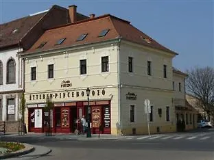 Guest house Panzio